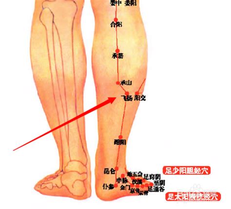 飛揚穴位置|「穴位密碼」飛揚